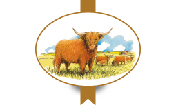 Ein Herz für Highland Cattle